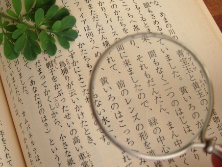 文字校正